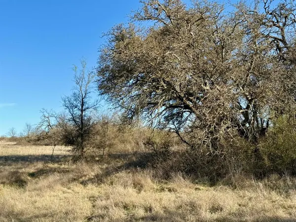 a view of a lush green forest next to a lake