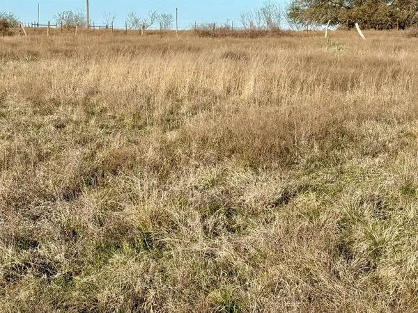a view of mountain covered with snow in the background
