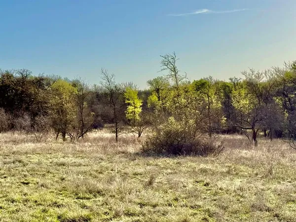 a view of a large yard