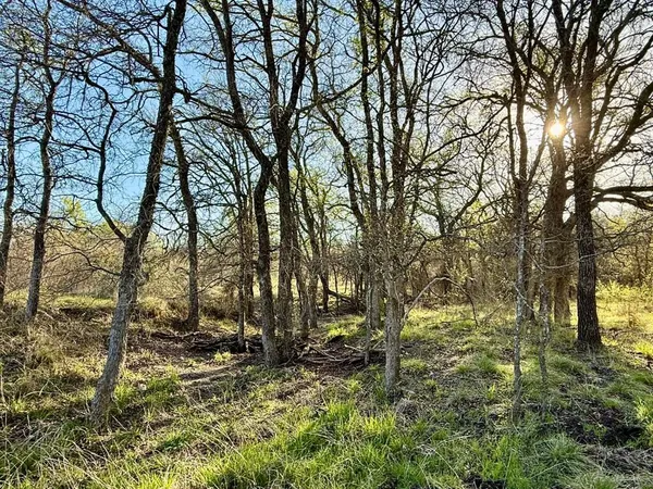 a view of outdoor space with a yard