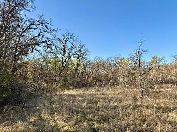 a view of backyard with green space