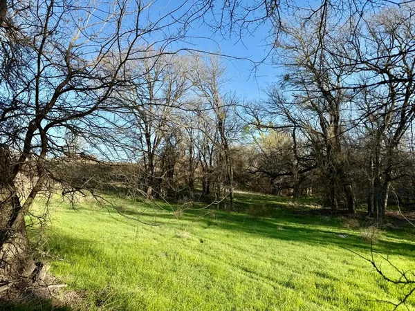 a view of backyard with green space