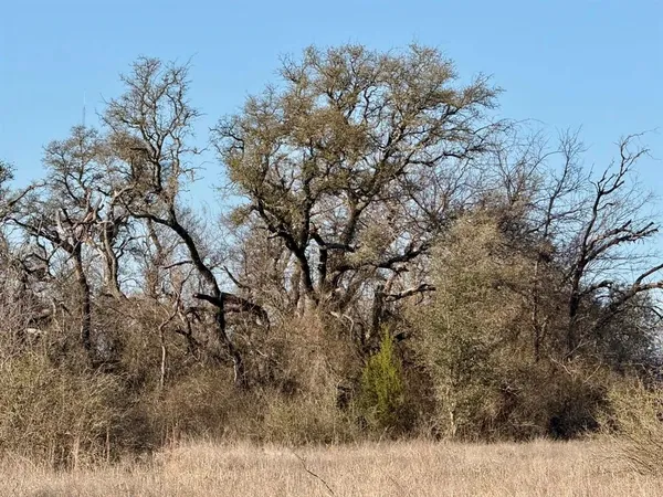 $195,000 | 328 Dublin Tx 76446, Dublin, TX 76446