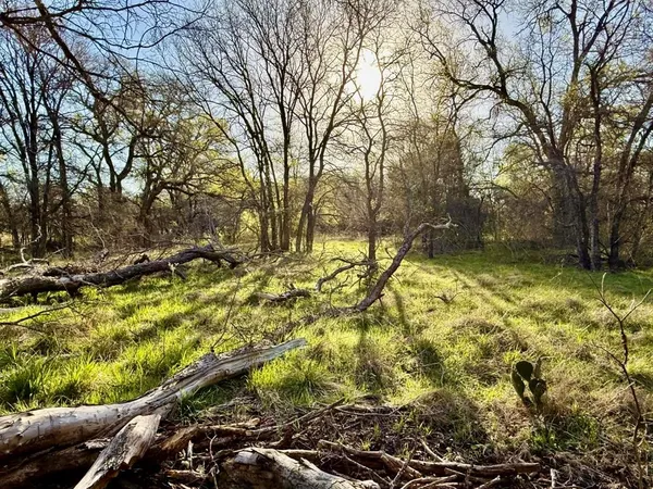 a view of yard with green space