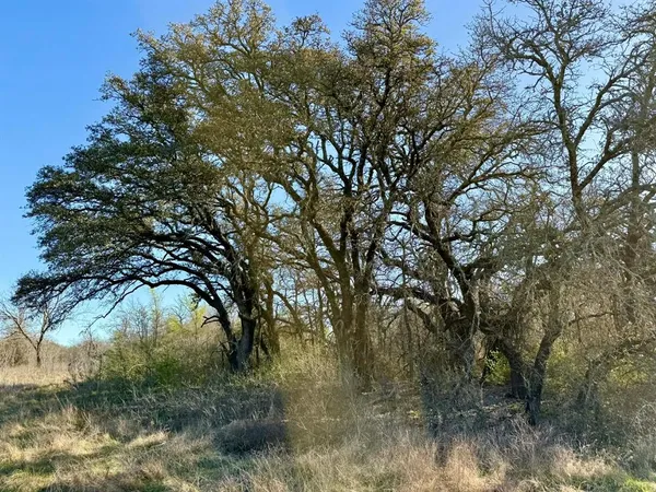 a view of lake and mountain
