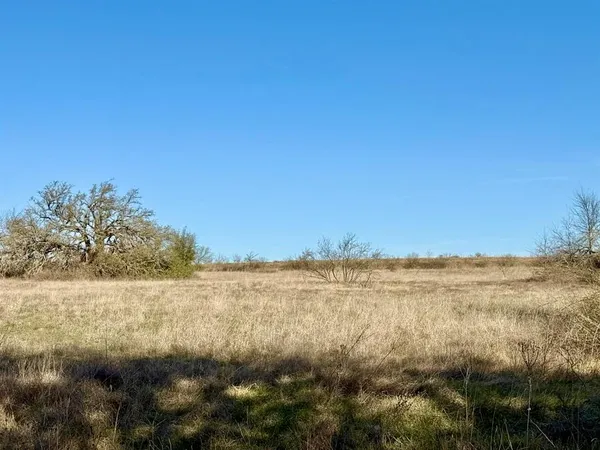 a view of a lake with a tree in the background