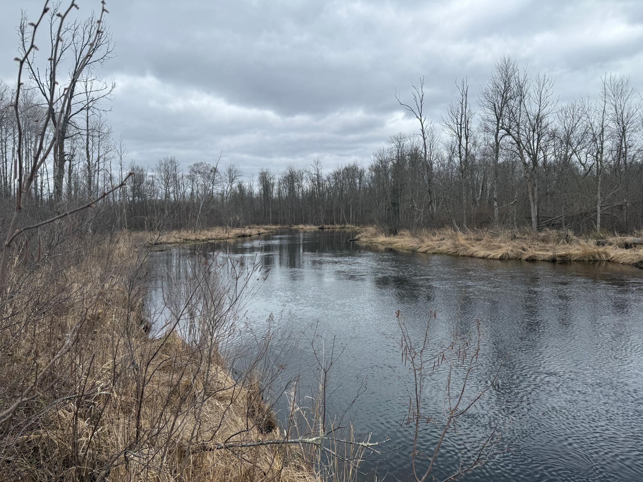 3854 Rasmussen Road Wright, MN 55798 - Photo 34 of 98