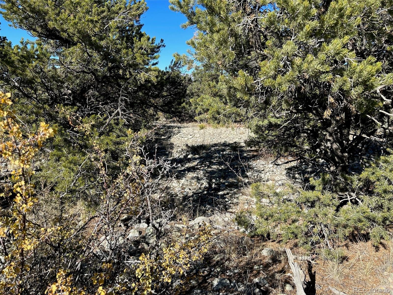 3 Mill Run Road Mosca, CO 81146 - Photo 3 of 7 Gallery Image 3