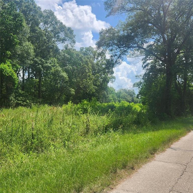 0 Calmes Road Pine Grove, LA 70453 - Photo 2 of 5