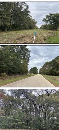 $48,000 | 0 Calmes Road, Pine Grove, LA 70453