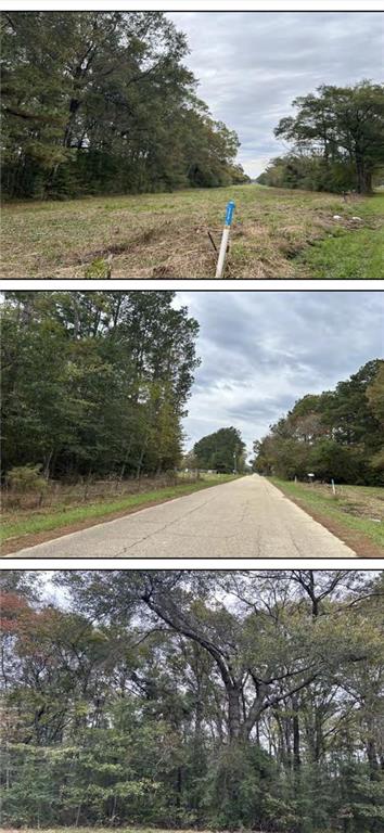 0 Calmes Road Pine Grove, LA 70453 - Photo 4 of 5