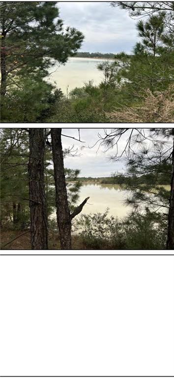 0 Calmes Road Pine Grove, LA 70453 - Photo 5 of 5