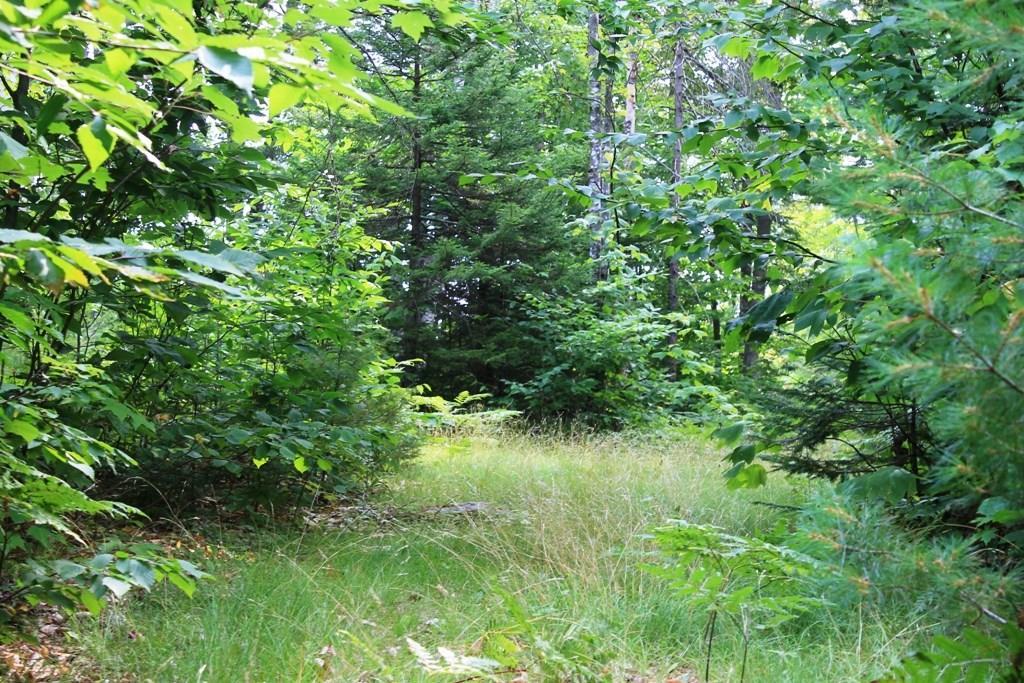 0 Bennett Pond Road Parkman, ME 04443 - Photo 11 of 12 Photo