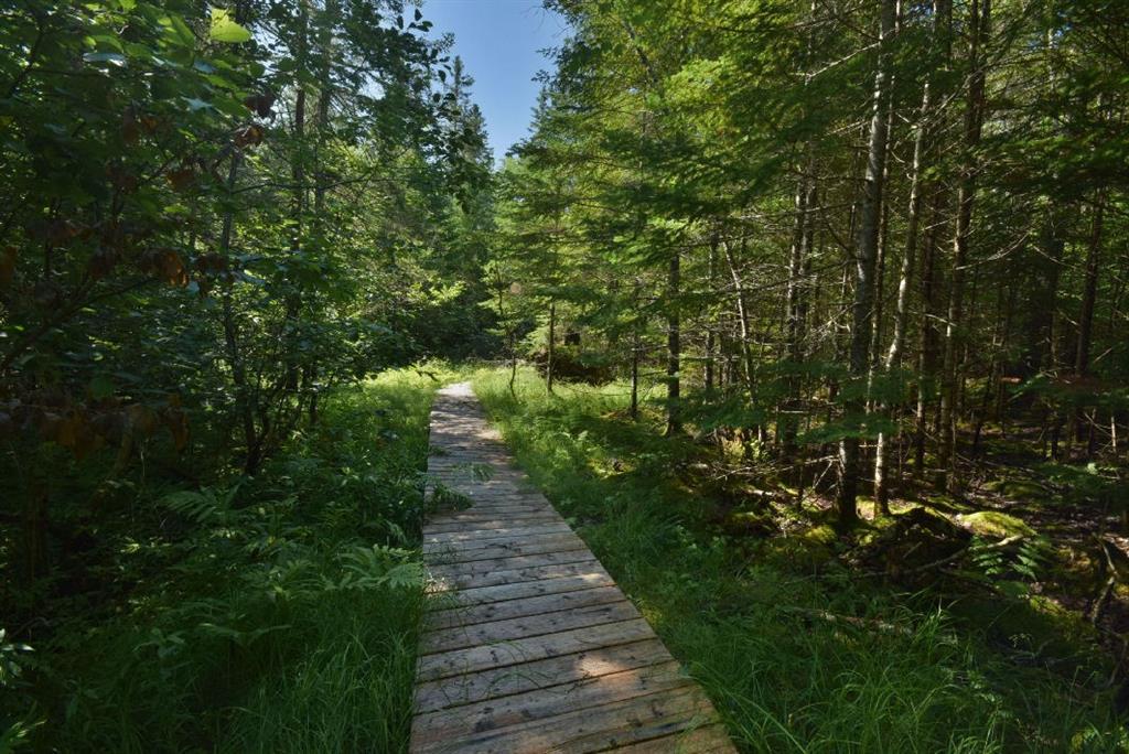 25 Kelly Point Road Lubec, ME 04652 - Photo 20 of 22 Walkway to the spring