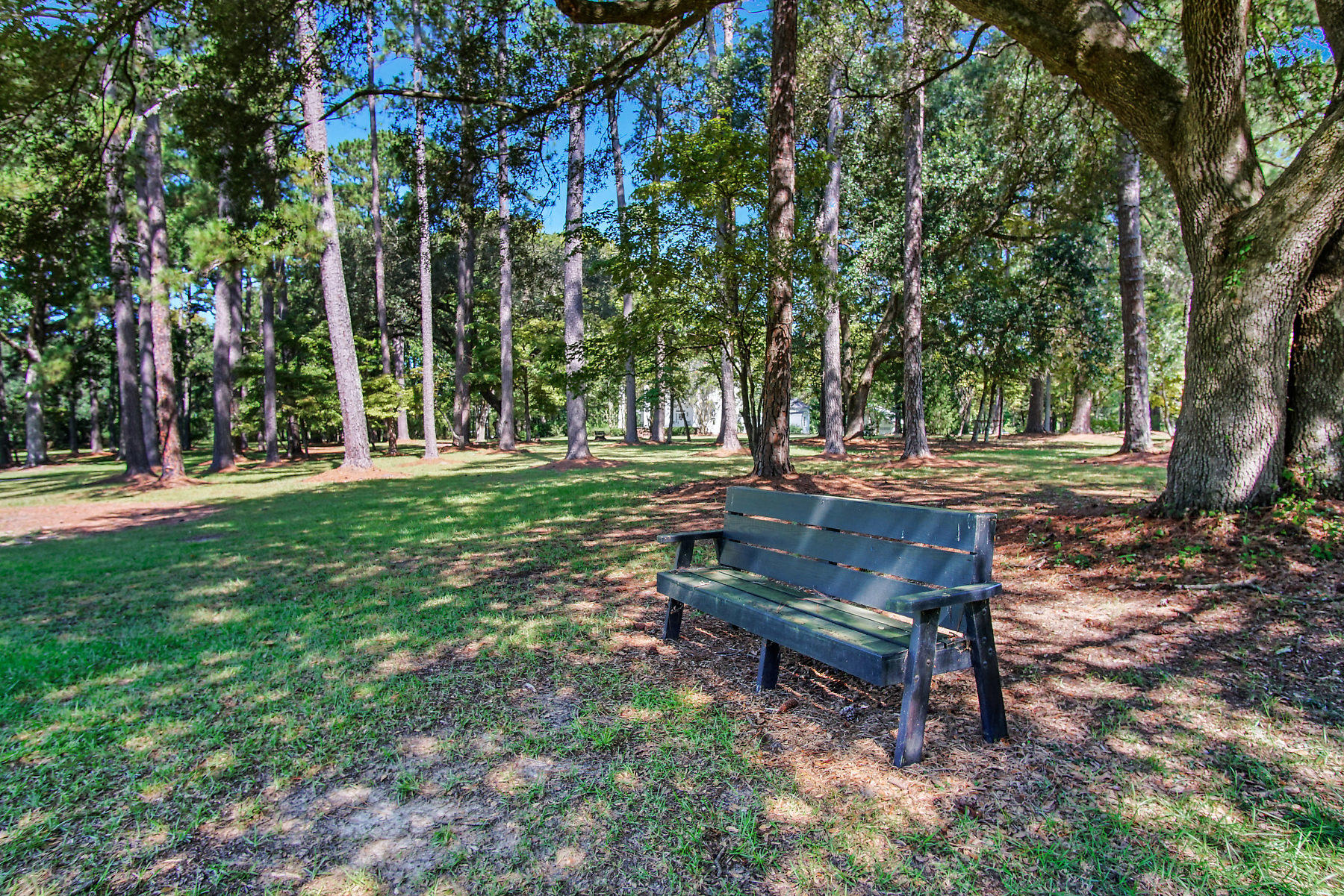 2711 Possum Corner Road Walterboro, SC 29488 - Photo 14 of 105 DSC05950-SMALL