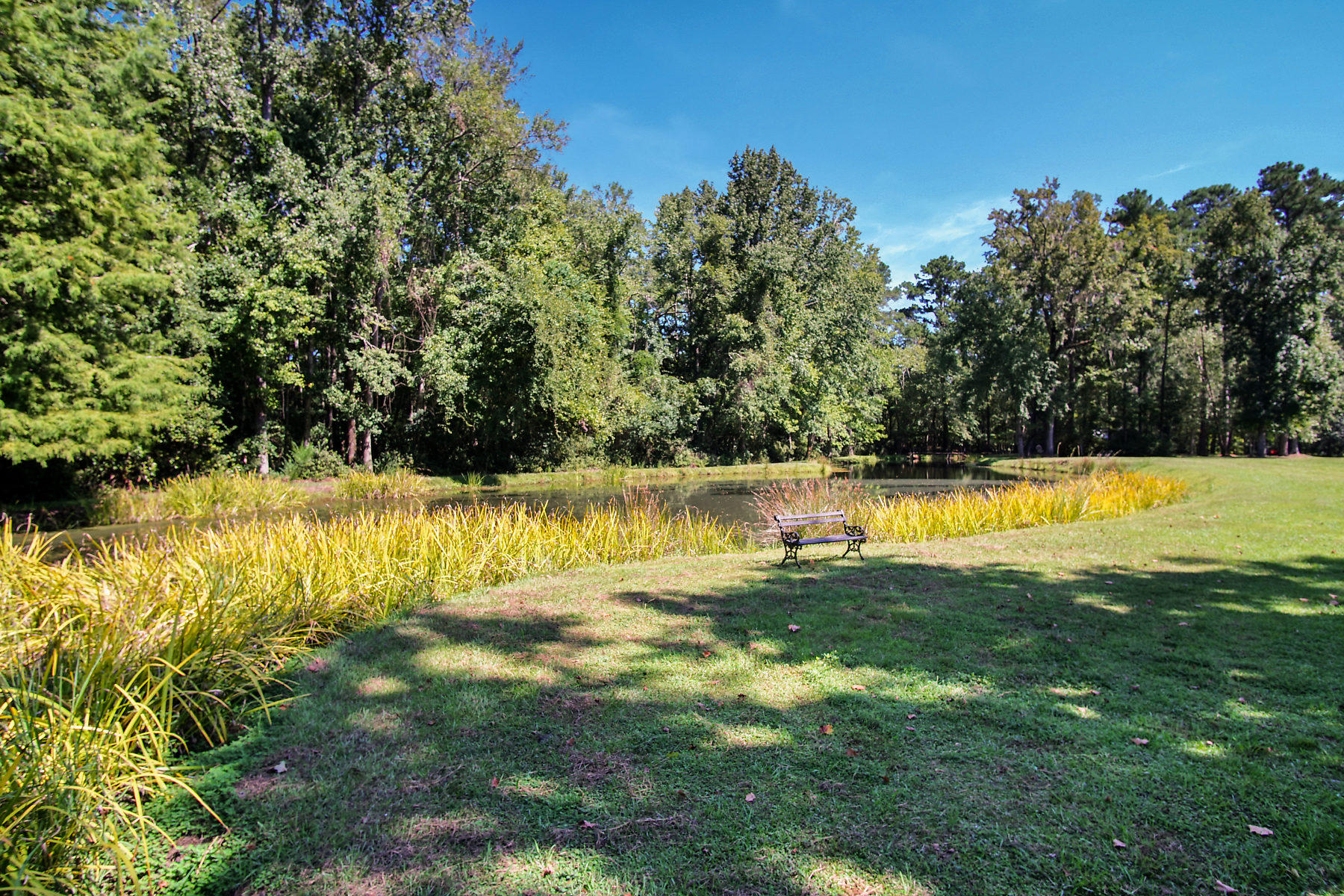 2711 Possum Corner Road Walterboro, SC 29488 - Photo 83 of 105 DSC06144-SMALL