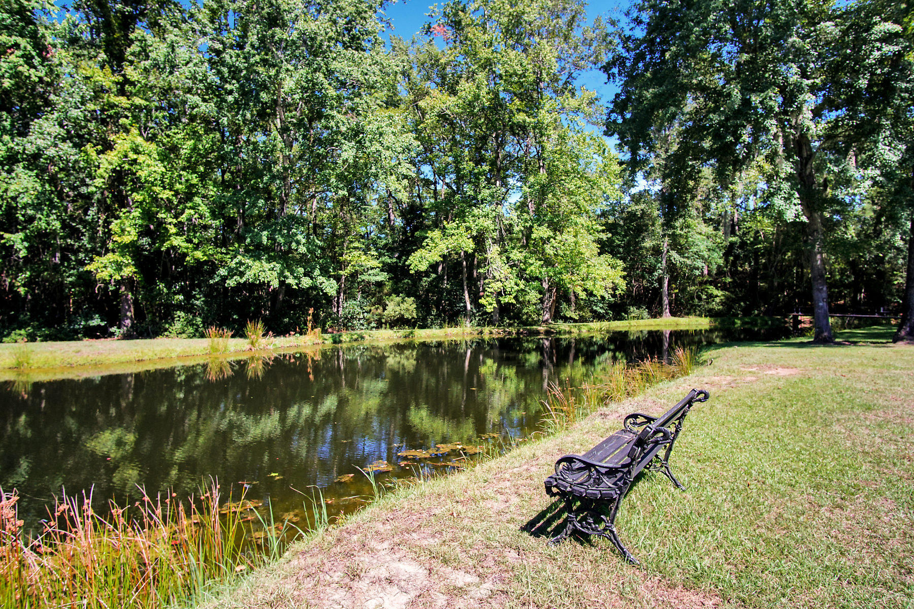2711 Possum Corner Road Walterboro, SC 29488 - Photo 84 of 105 DSC06164-SMALL