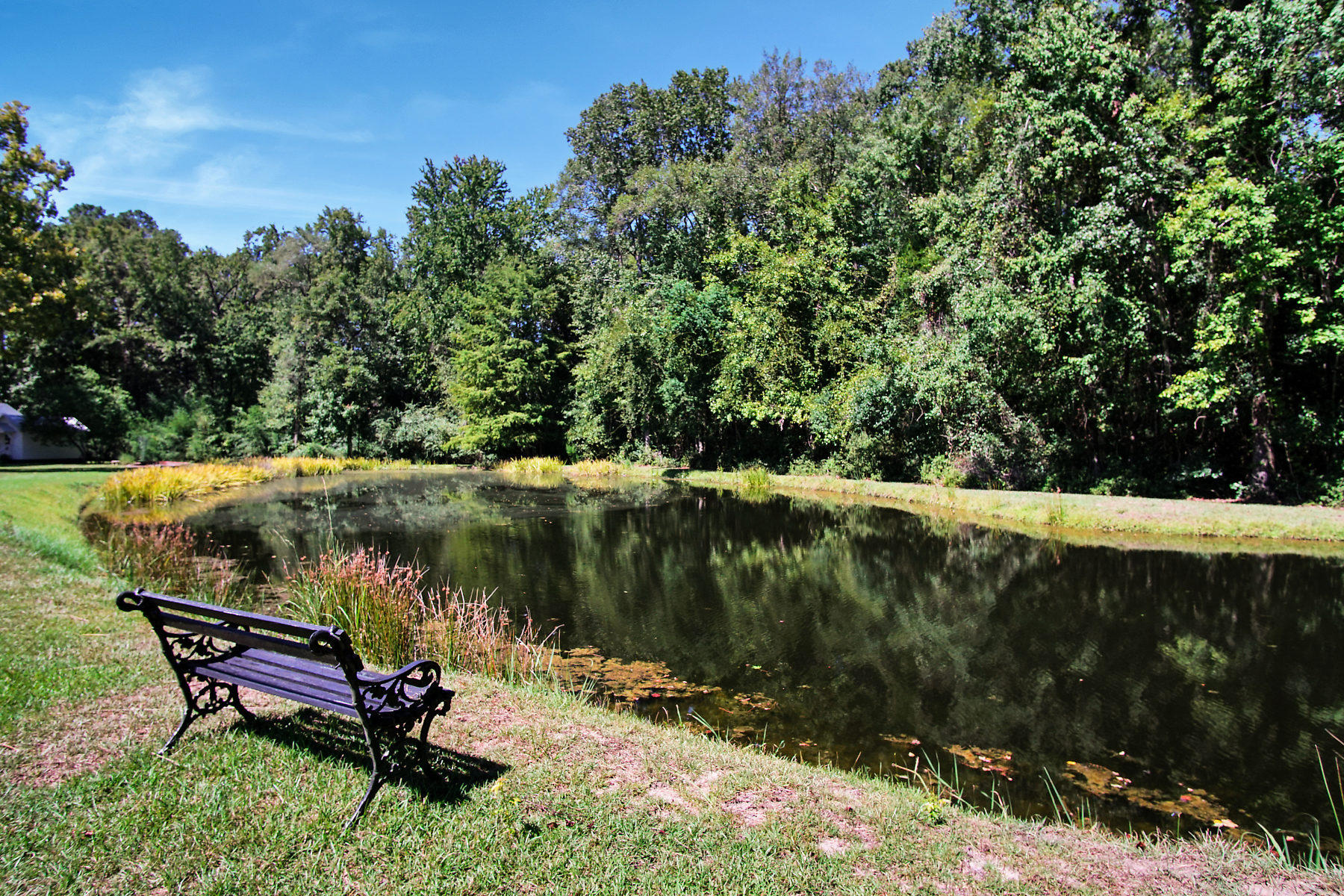 2711 Possum Corner Road Walterboro, SC 29488 - Photo 85 of 105 DSC06168-SMALL