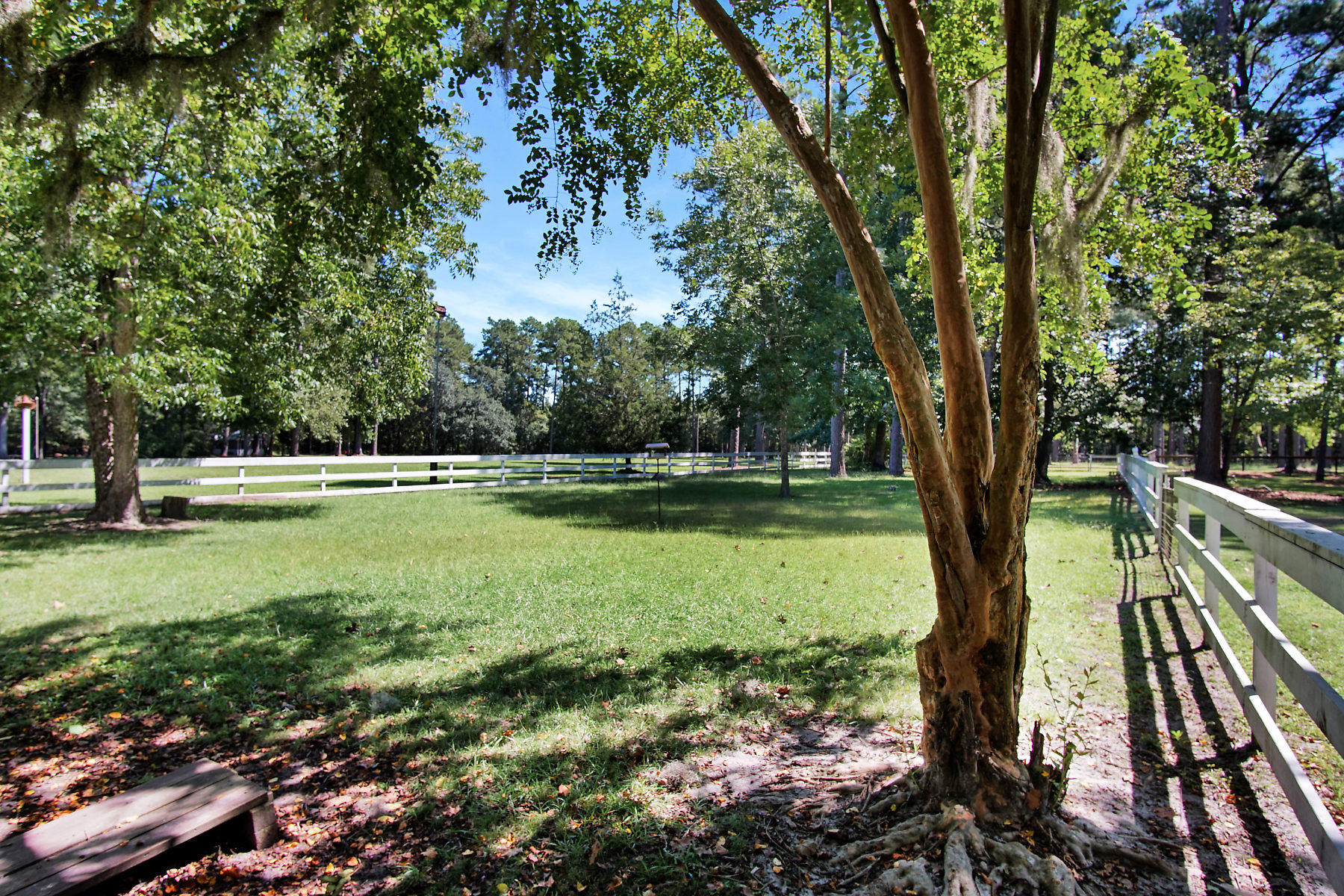 2711 Possum Corner Road Walterboro, SC 29488 - Photo 86 of 105 DSC06130-SMALL