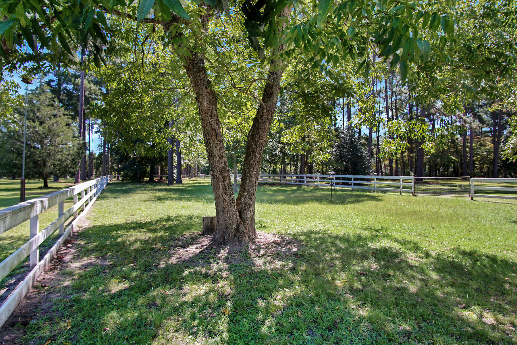 2711 Possum Corner Road Walterboro, SC 29488 - Photo 87 of 105 DSC06135-SMALL