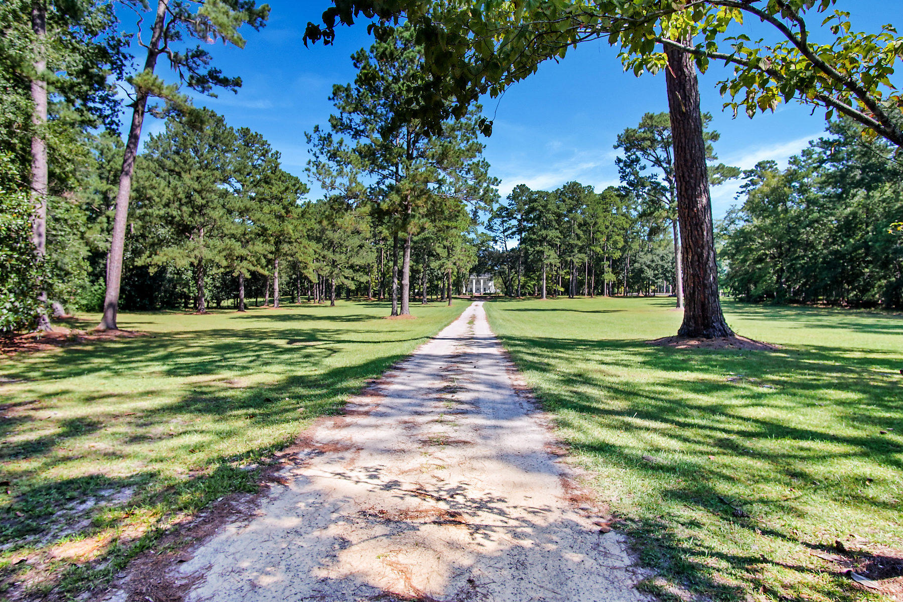 2711 Possum Corner Road Walterboro, SC 29488 - Photo 10 of 105 DSC05930-SMALL