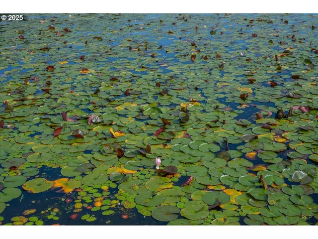 $574,950 | 33765 Lake Front Drive, Warrenton, OR 97146