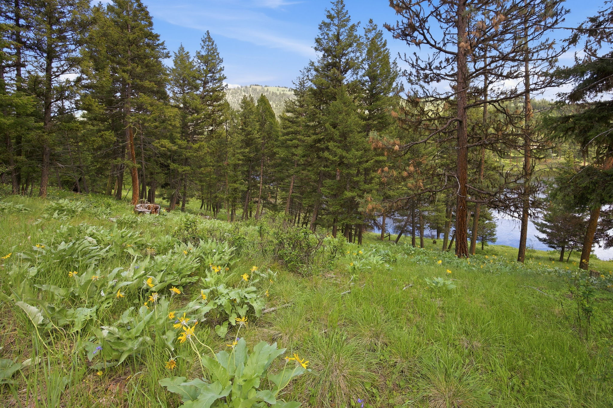 3 Big Waters Ranch Road Seeley Lake, MT 59868 - Photo 28 of 49 Gallery Image 28
