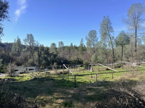 17202 Jupiter Road Twain Harte, CA 95383 - Photo 3 of 8 a view of a park