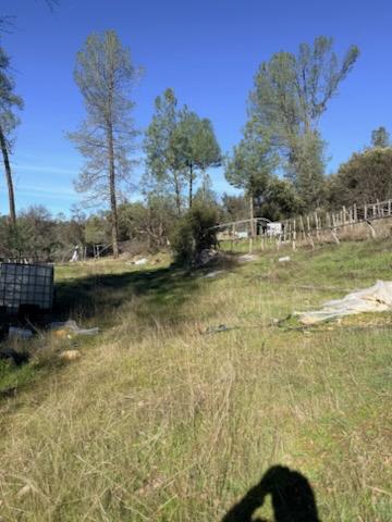 17202 Jupiter Road Twain Harte, CA 95383 - Photo 4 of 8 a view of residential houses with outdoor space
