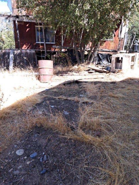 17202 Jupiter Road Twain Harte, CA 95383 - Photo 6 of 8 a view of a yard with a house