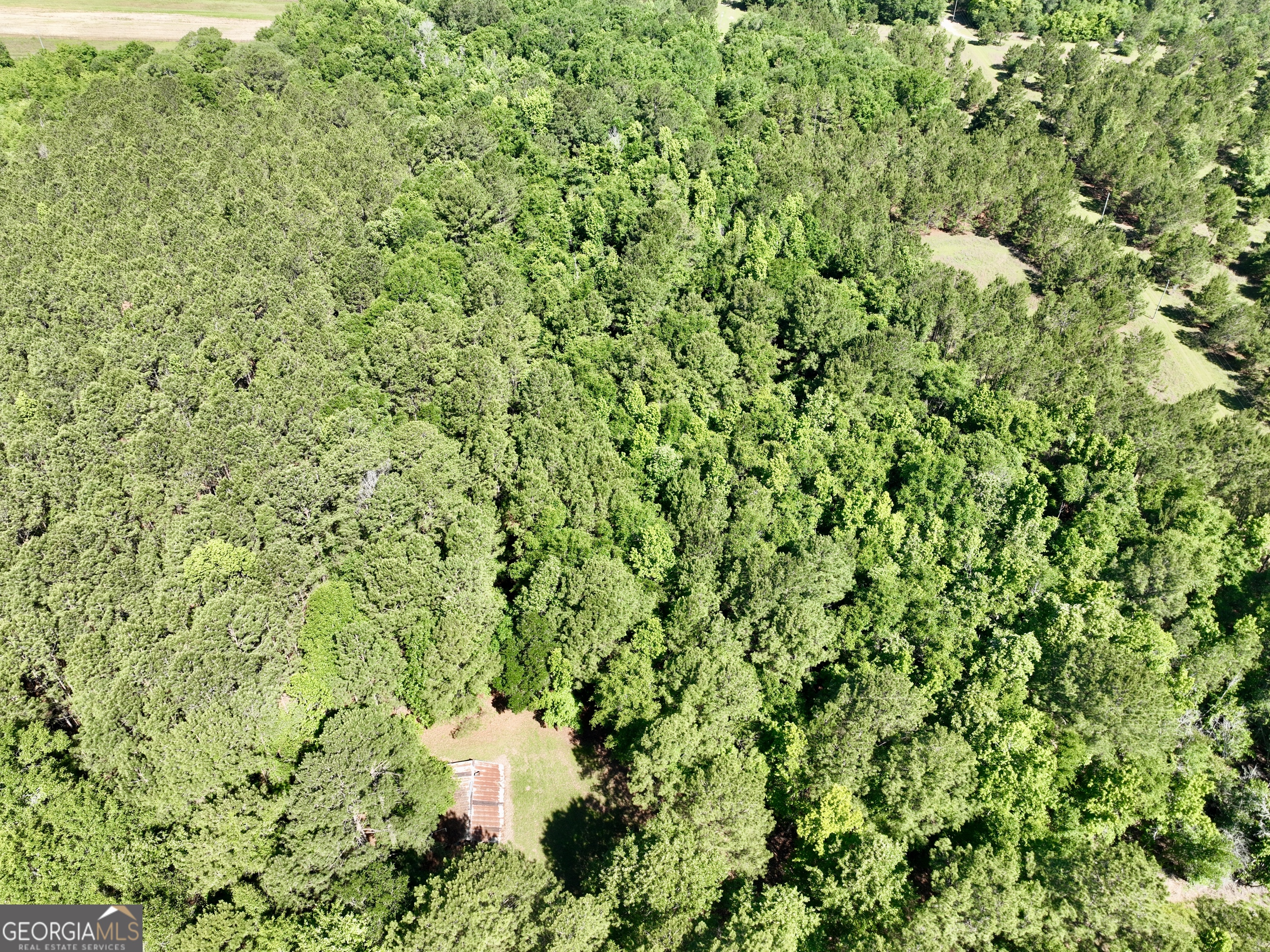 769 Mt Olive Church Road Eastman, GA 31023 - Photo 22 of 68