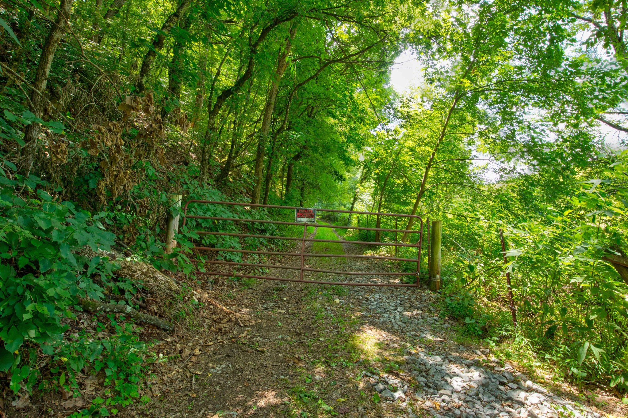 0 Sharp Road Sevierville, TN 37876 - Photo 11 of 27 a large yard with lots of green space and trees