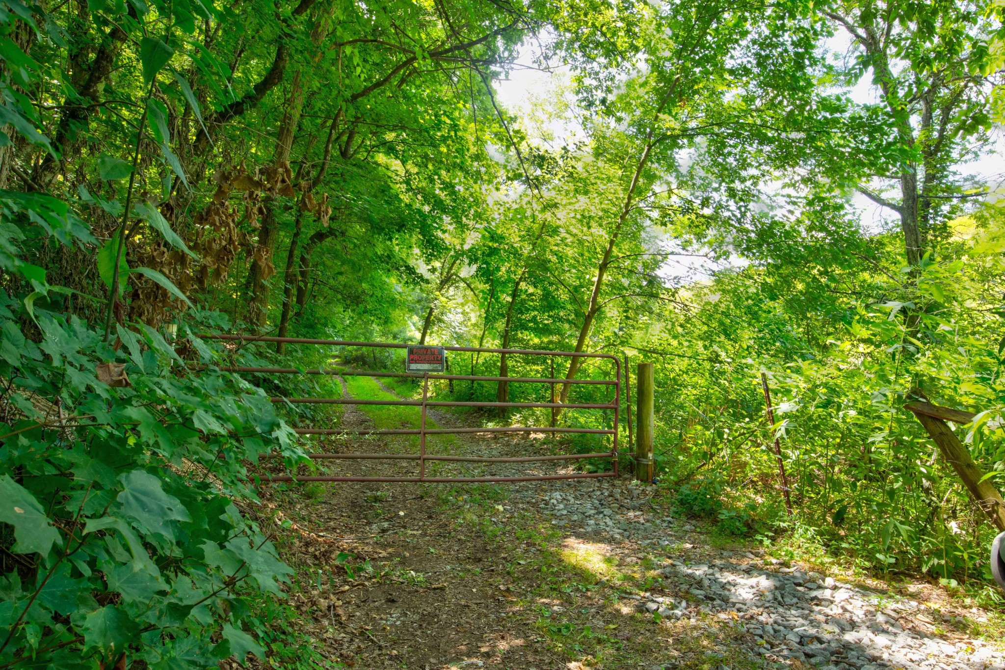 0 Sharp Road Sevierville, TN 37876 - Photo 12 of 27 a view of a park