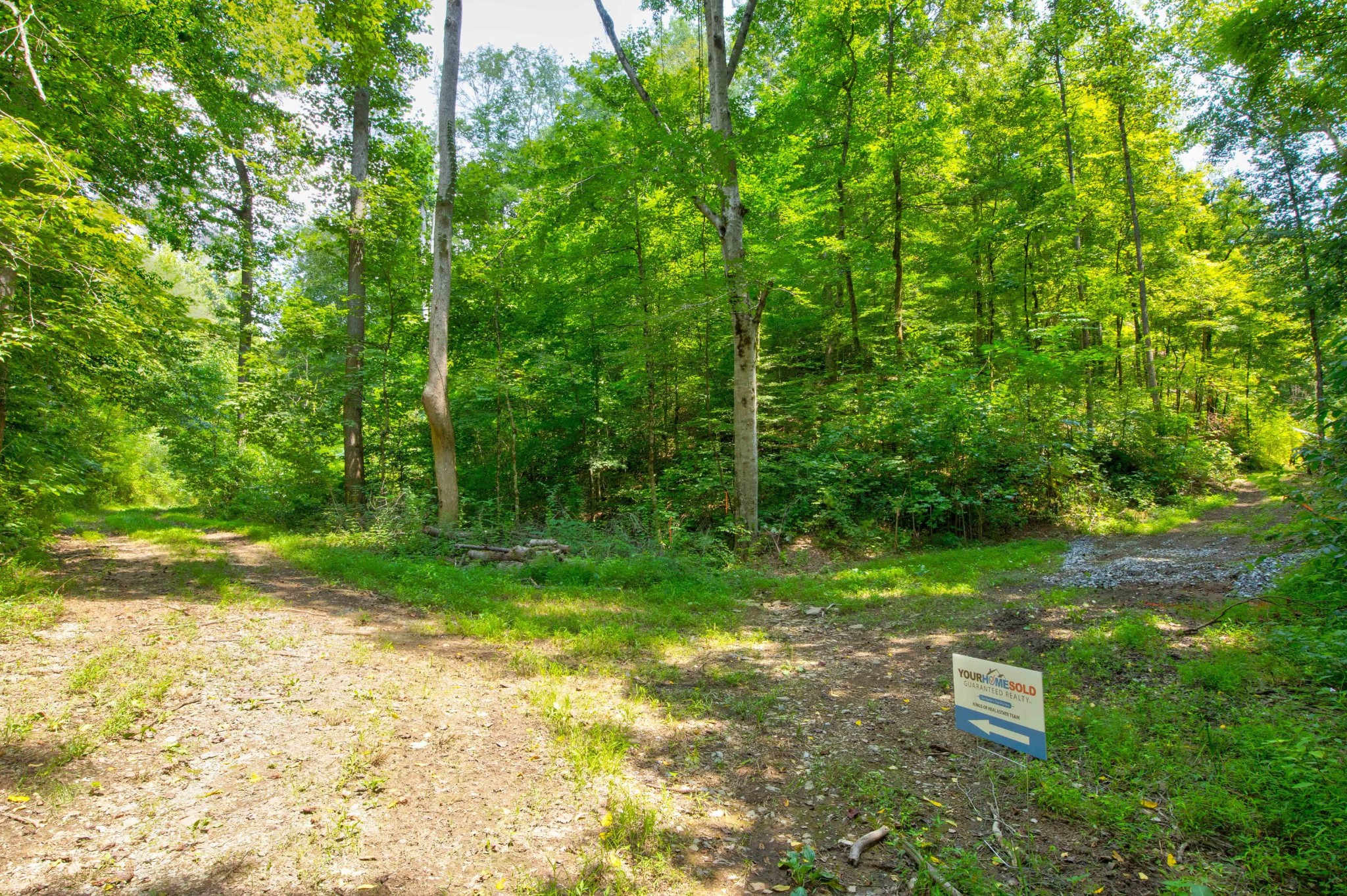 0 Sharp Road Sevierville, TN 37876 - Photo 13 of 27 a view of a yard with a trees