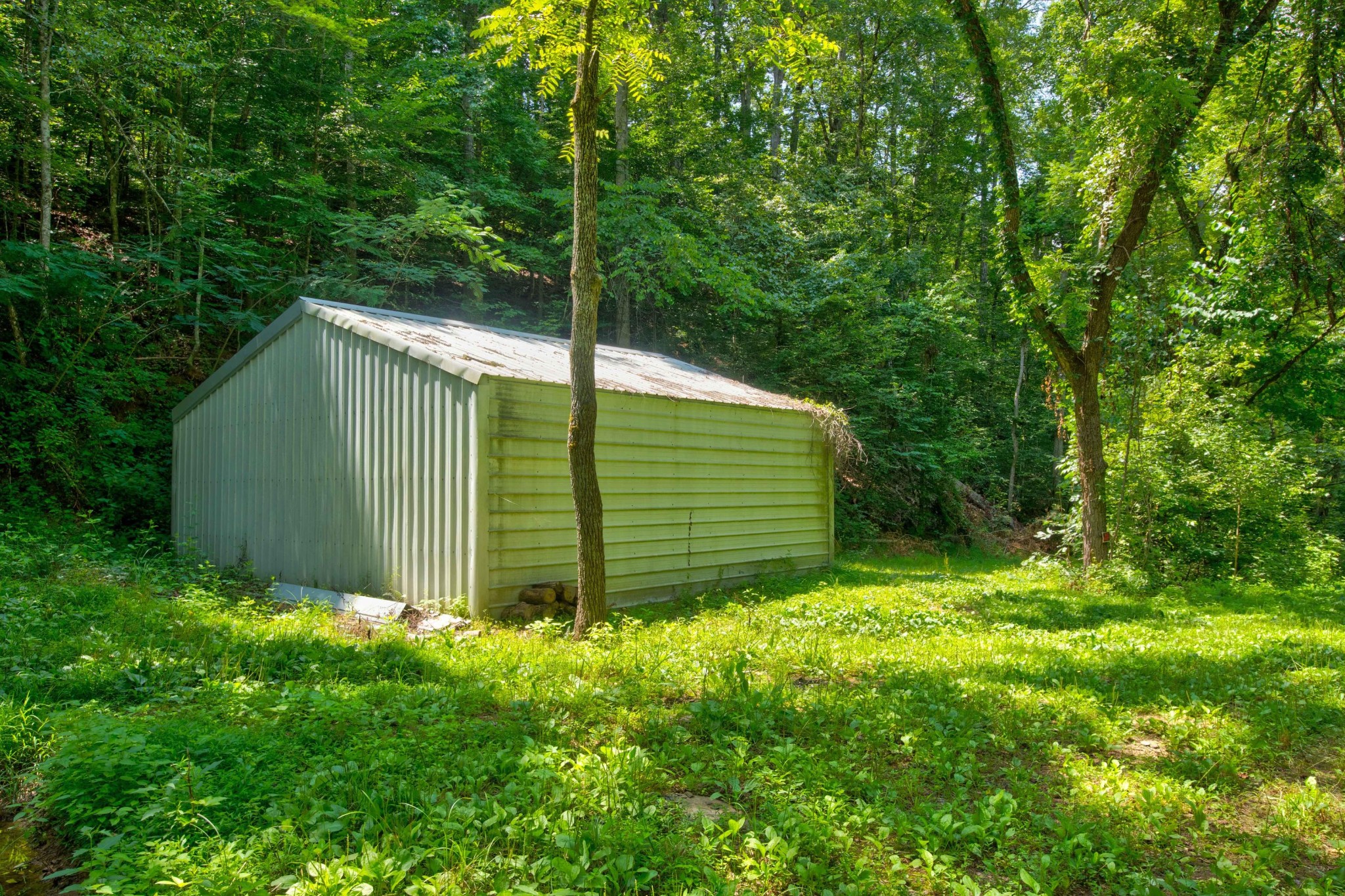 0 Sharp Road Sevierville, TN 37876 - Photo 17 of 27 a backyard of a house with plants and large tree