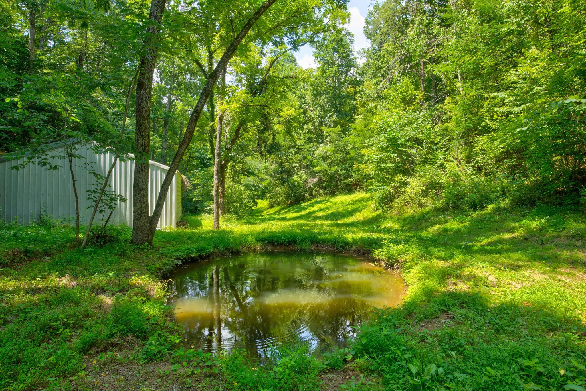 0 Sharp Road Sevierville, TN 37876 - Photo 19 of 27 a backyard of a house with lots of green space