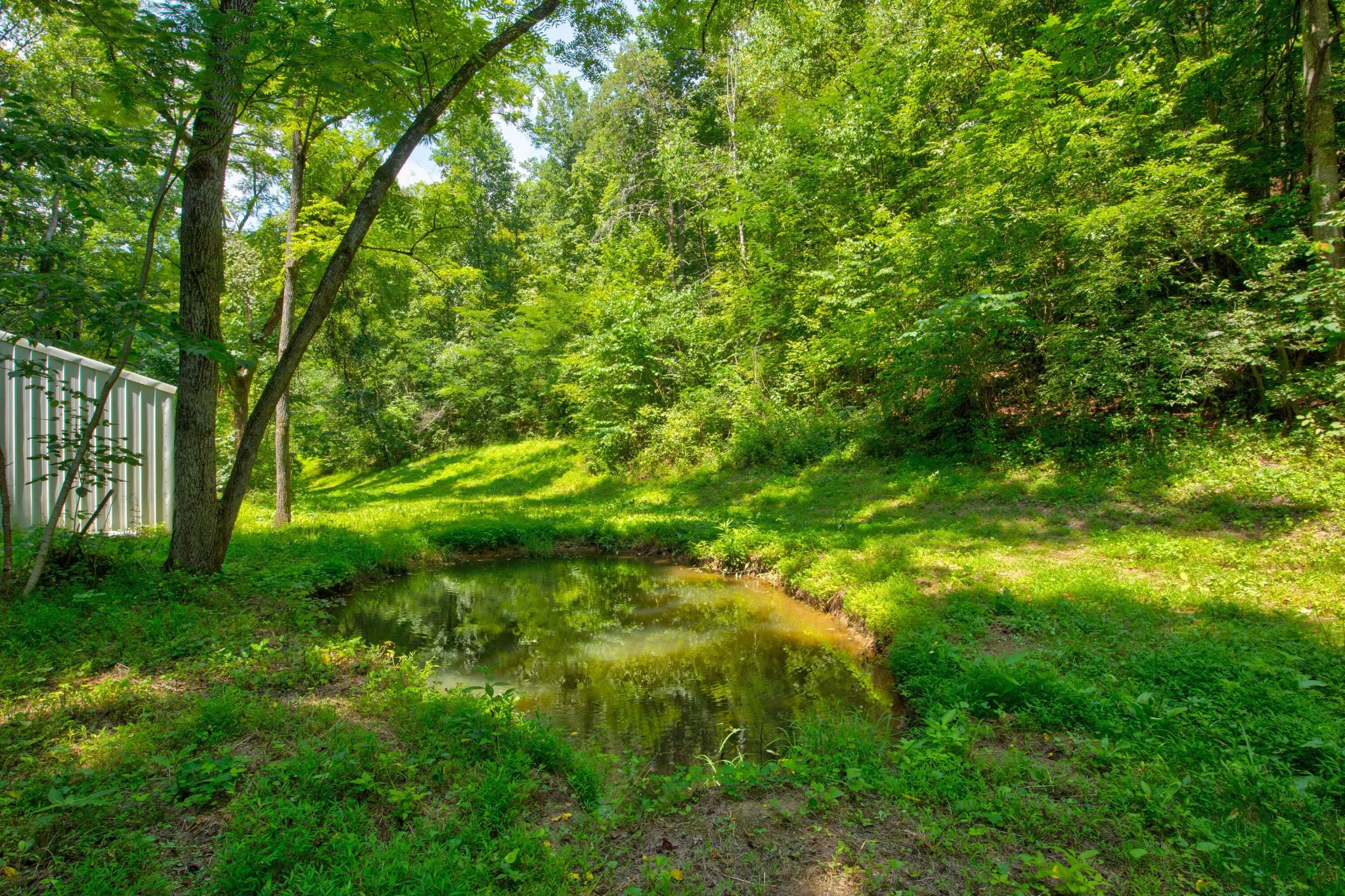 0 Sharp Road Sevierville, TN 37876 - Photo 20 of 27 a view of yard with green space