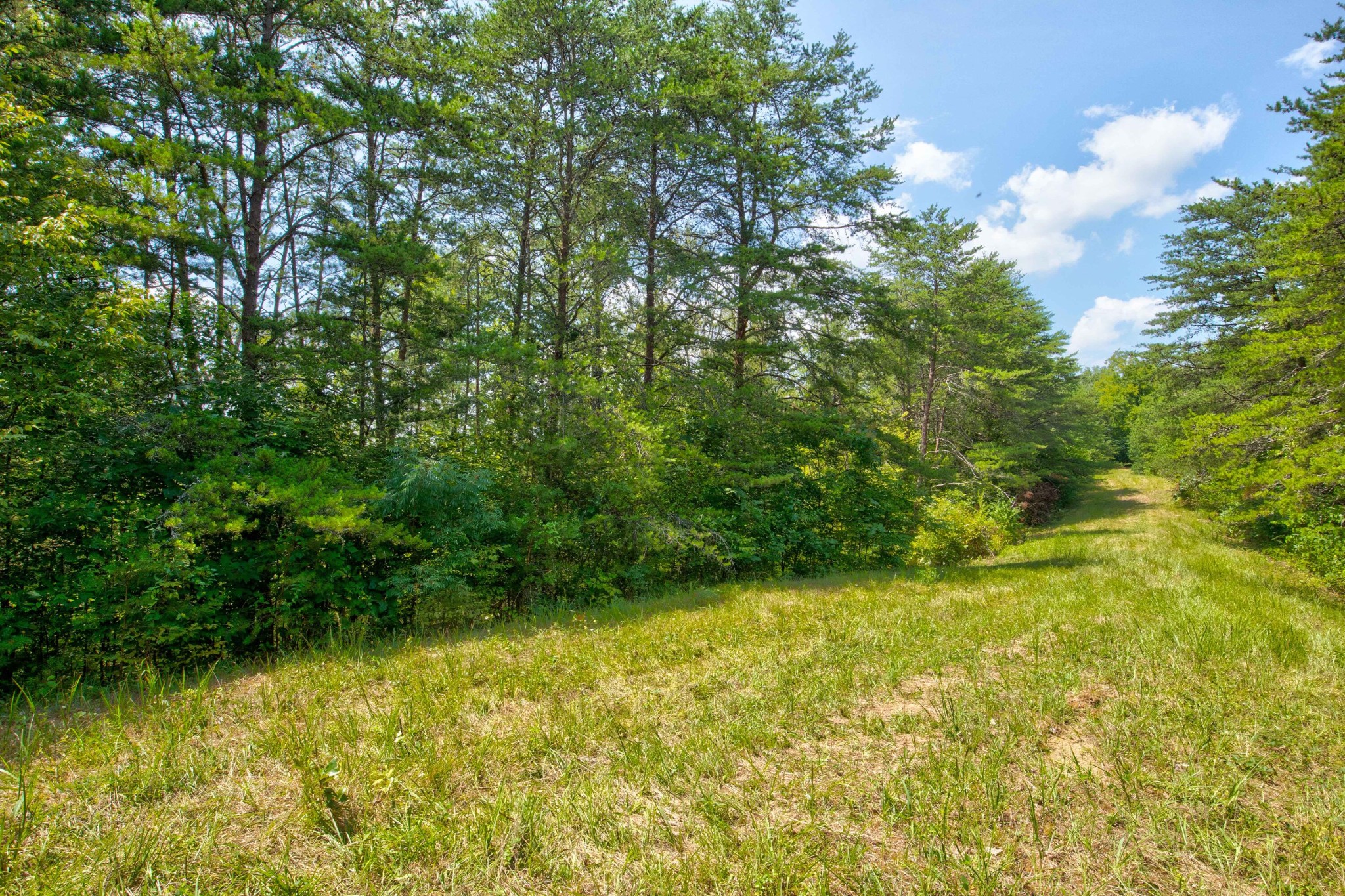 0 Sharp Road Sevierville, TN 37876 - Photo 21 of 27