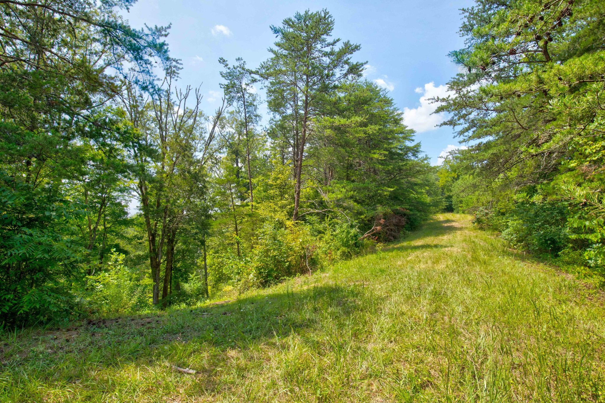 0 Sharp Road Sevierville, TN 37876 - Photo 22 of 27 a view of yard with green space