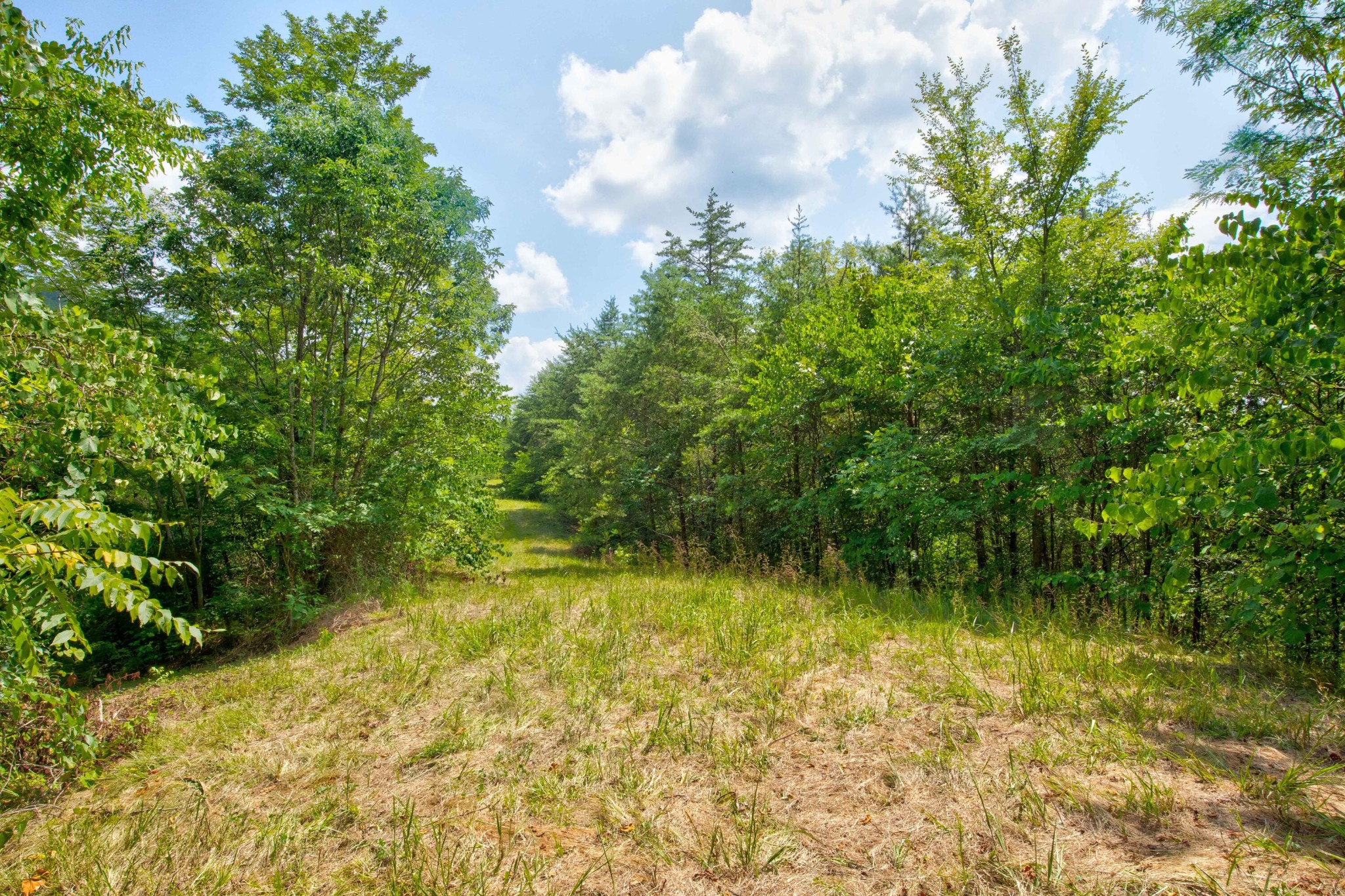 0 Sharp Road Sevierville, TN 37876 - Photo 23 of 27 a view of swimming pool from a yard
