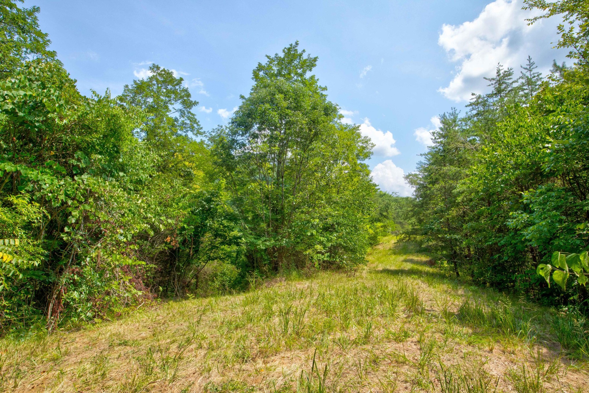 0 Sharp Road Sevierville, TN 37876 - Photo 24 of 27 a view of a lake