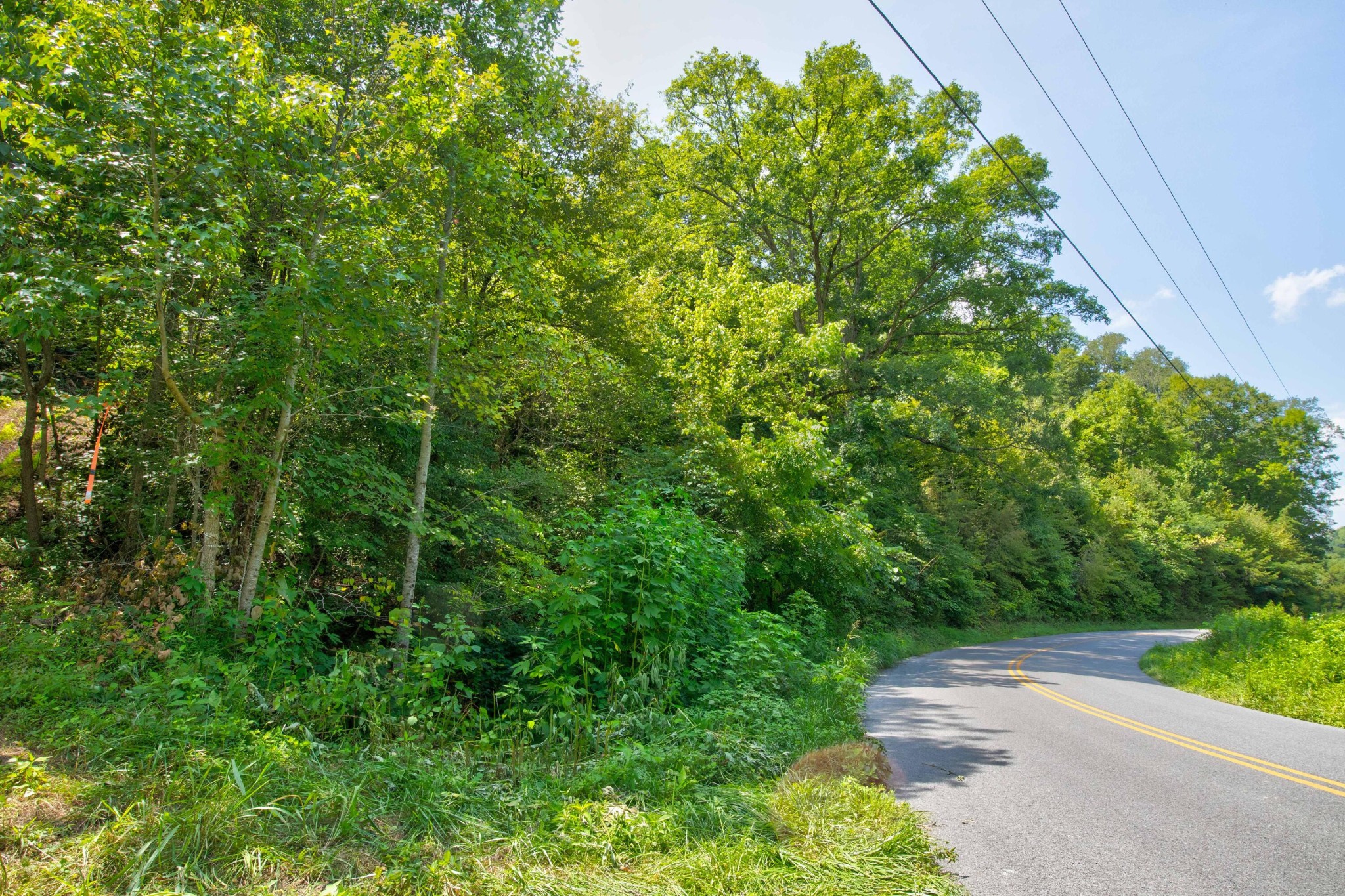 0 Sharp Road Sevierville, TN 37876 - Photo 26 of 27 a backyard of a house with lots of green space