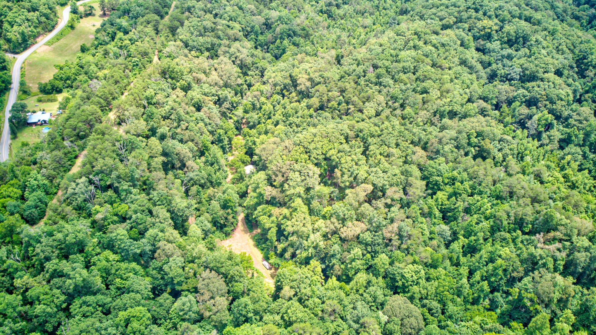 0 Sharp Road Sevierville, TN 37876 - Photo 6 of 27 a view of a green field