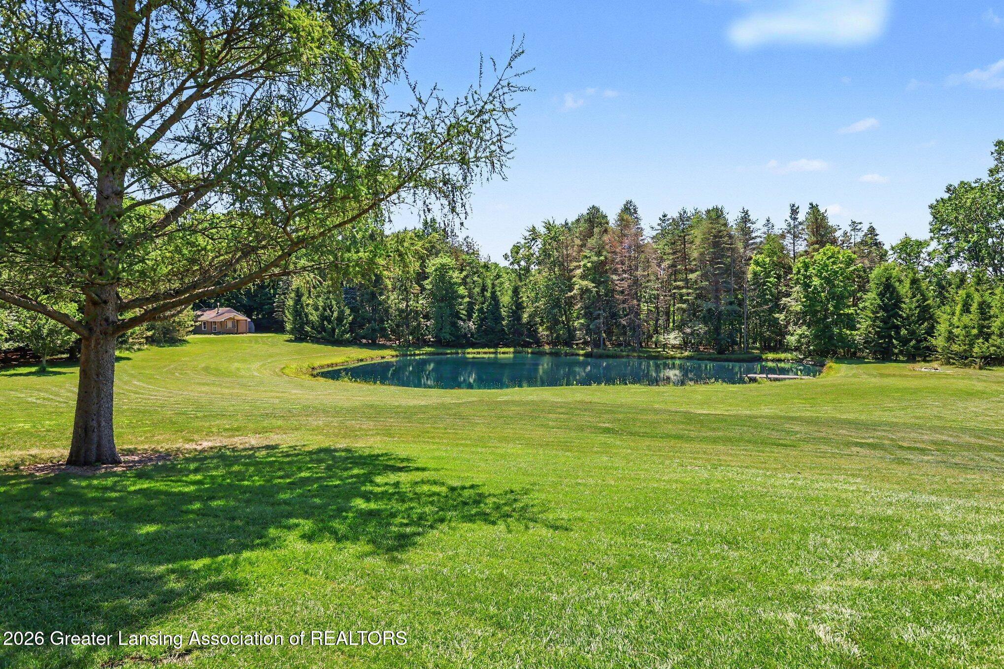 905 West Dansville Road Mason, MI 48854 - Photo 39 of 50 Yard