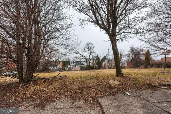 a view of empty space with tree