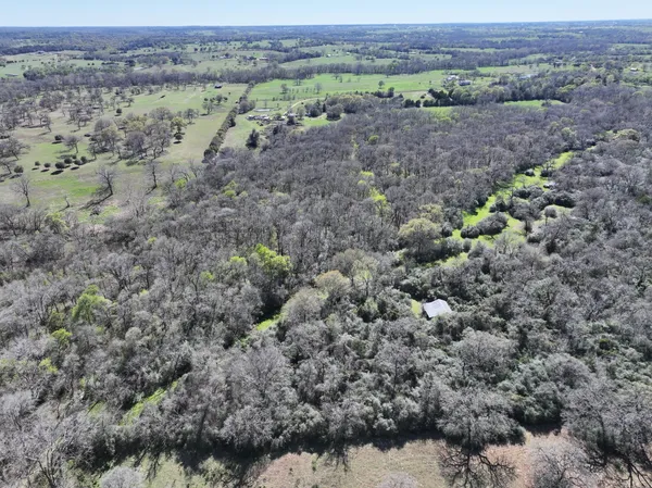 a view of a field with trees in the background