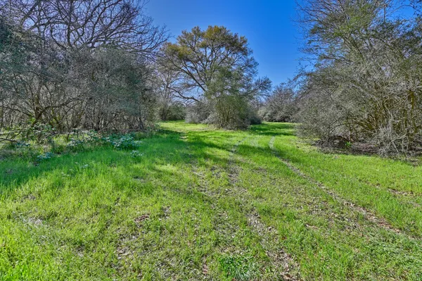 a view of a lush green space