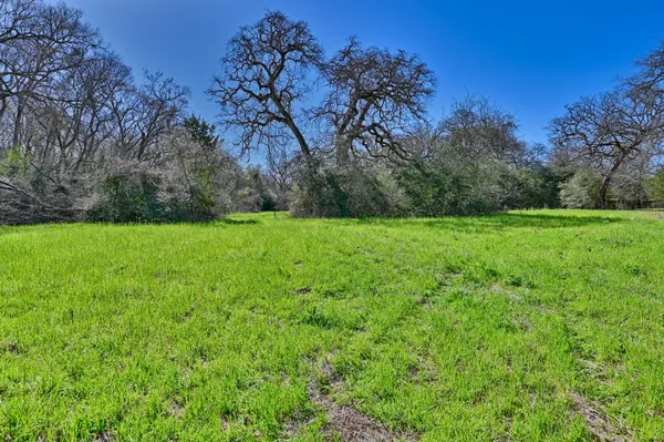 a view of a grassy field with trees in the background