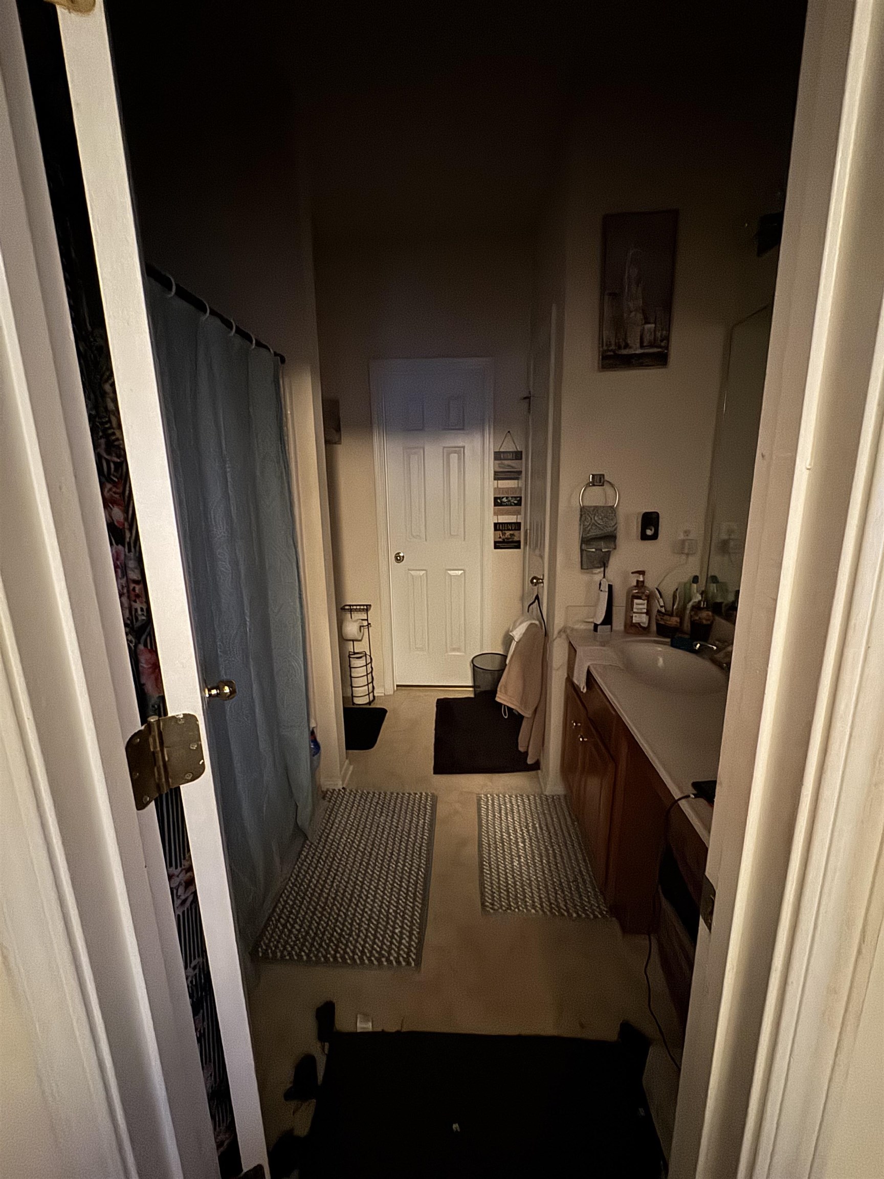 116 Olde Towne Way, Unit 6 Myrtle Beach, SC 29588 - Photo 16 of 23 Full bathroom featuring vanity and a shower with curtain