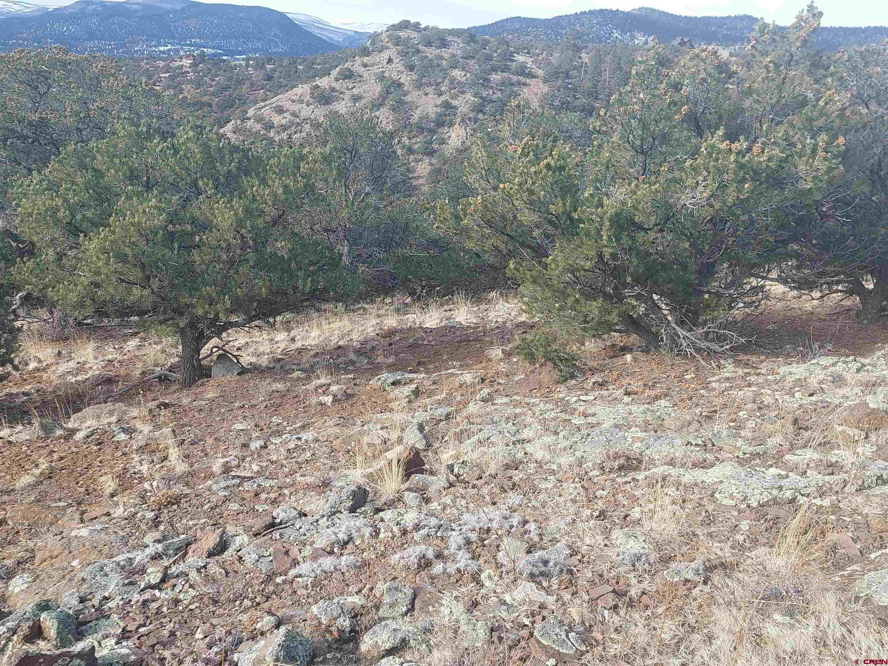 119 Cactus Road South Fork, CO 81154 - Photo 3 of 7 a view of a dry yard with mountains in the background